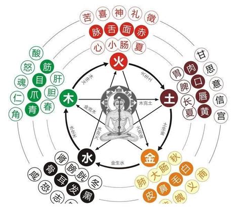 木克土為財|命理基礎知識梳理08：木五行入命丨吉則仁壽俱全，兇。